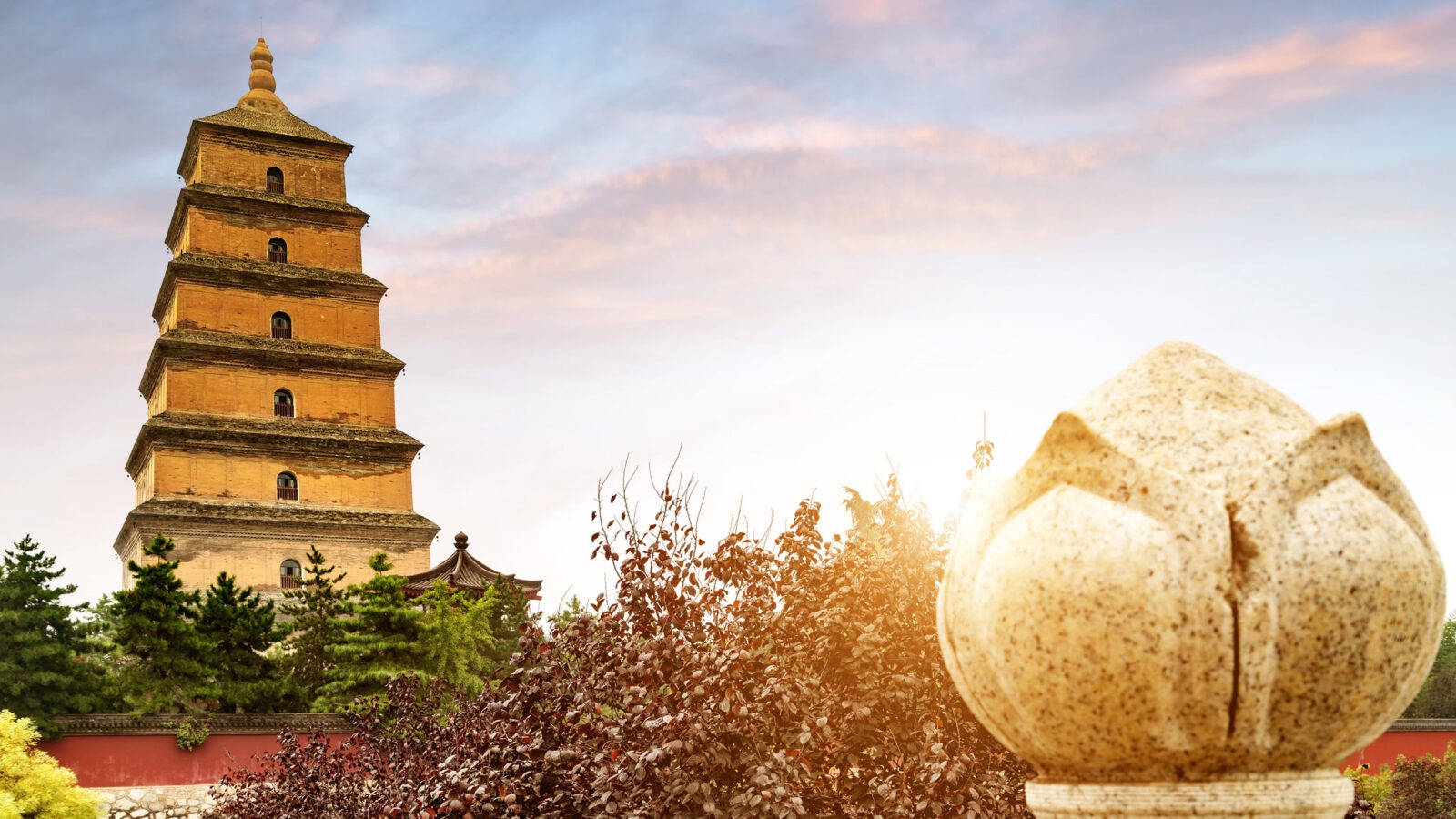 giant-wild-goose-panda-xi'an-china