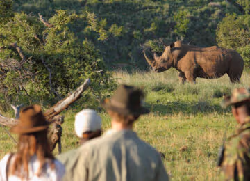 Borana Conservancy thumbnail
