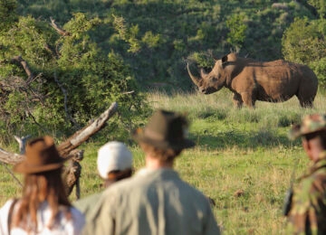 Borana Conservancy thumbnail