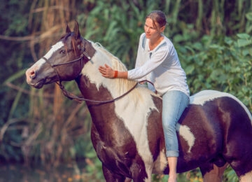 Midwest Lowlands thumbnail