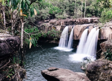 Wild Cambodia thumbnail