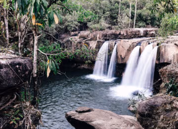 Wild Cambodia thumbnail