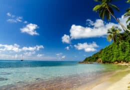 Jewels of the Caribbean