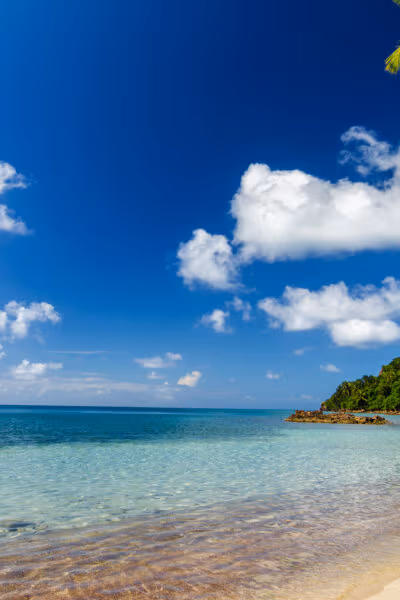 Jewels of the Caribbean