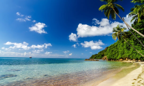 Jewels of the Caribbean