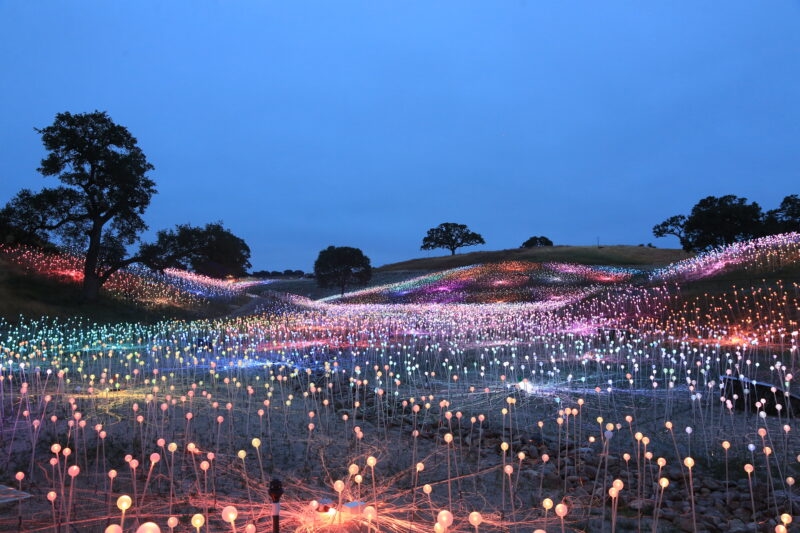 sensorio-field-of-light