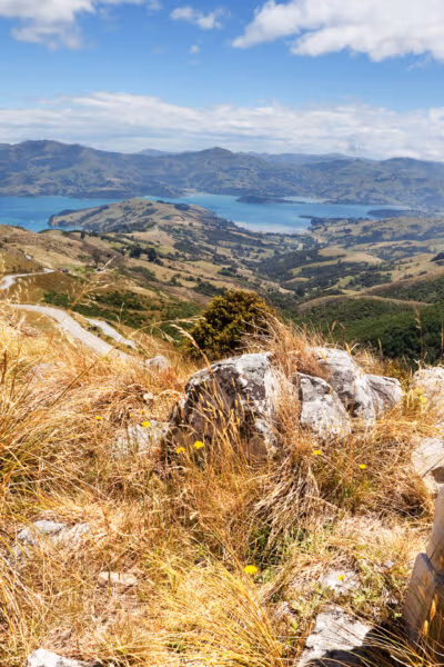 Art and Culture in New Zealand