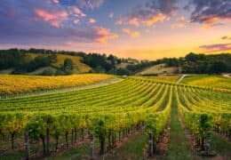 An In-depth Discovery of South Australia