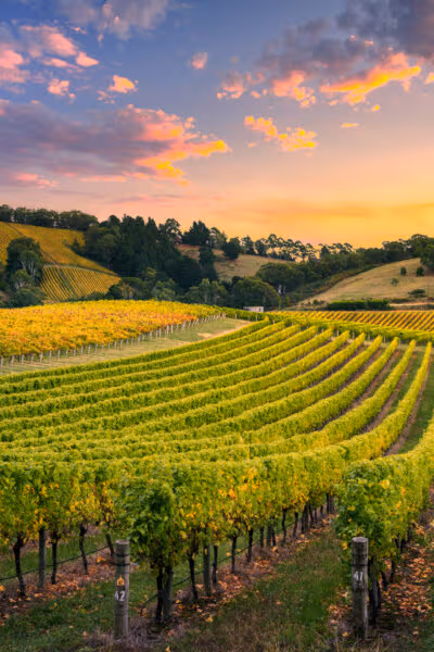 An In-depth Discovery of South Australia