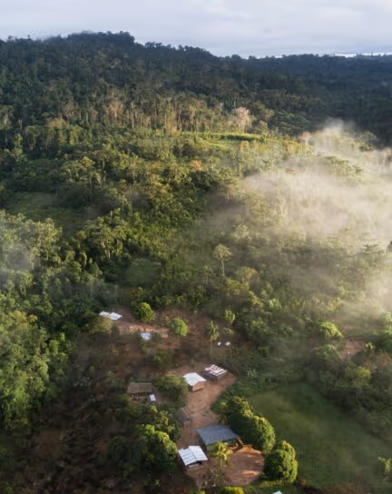 The Women Saving the Rainforest