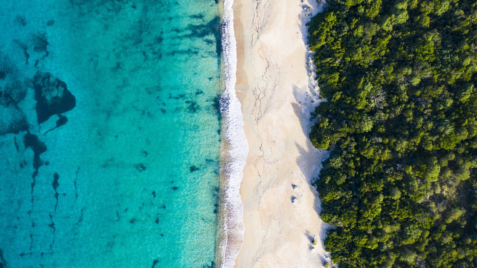 Aerial bird's-eye view of a white sand beach meeting clear blue water and dense green trees.