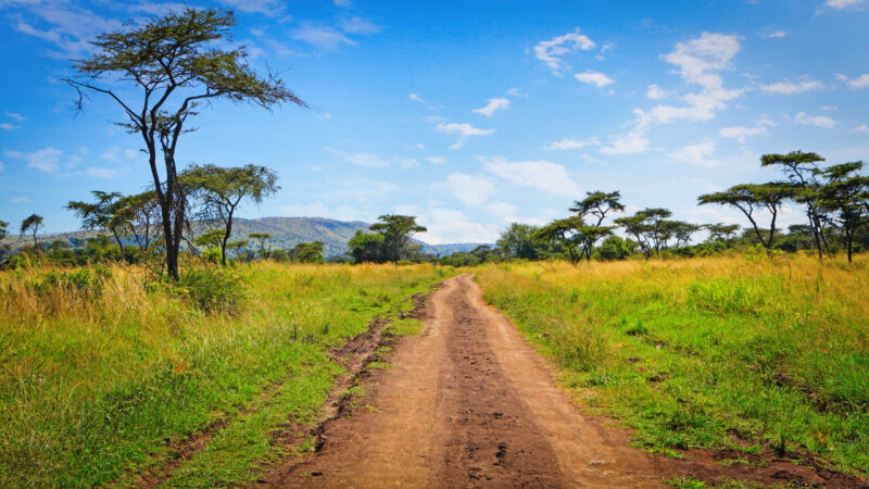 View of Rwanda akagera national park