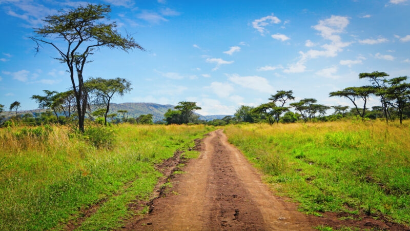 View of Rwanda akagera national park