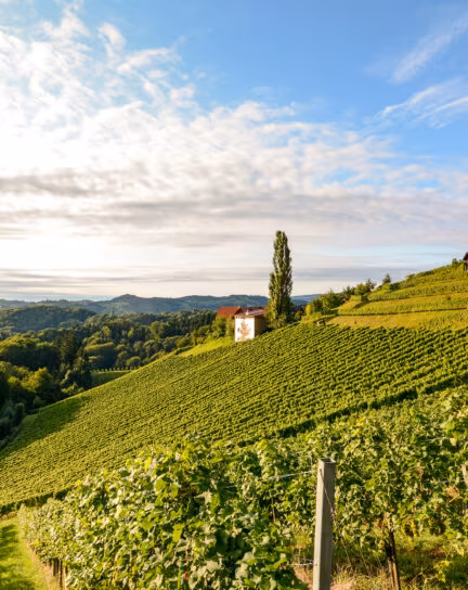 The World's 12 Best Vineyard Hotels