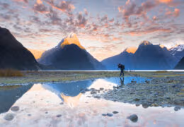 Essential New Zealand