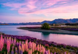 The Best of Australia and New Zealand