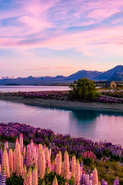 The Best of Australia and New Zealand