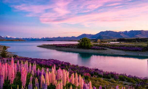 The Best of Australia and New Zealand