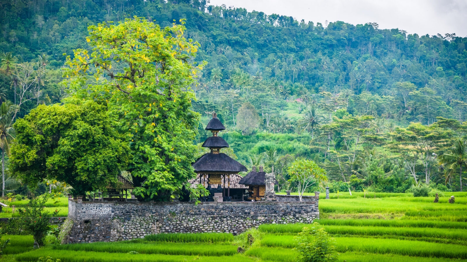 A temple surrounded by lush green rice terraces in Sidemen, Bali