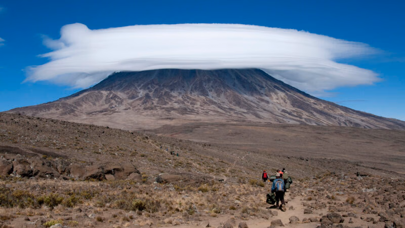 A group of porters passing through The saddle area on Rongai Route, Kilimanjaro