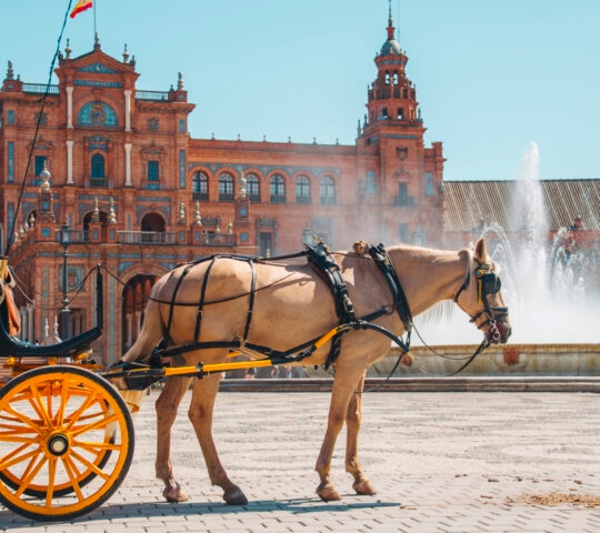 Horse carriage in Seville