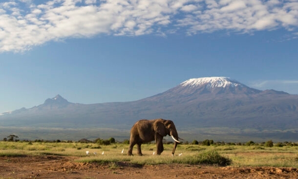 Private Kilimanjaro Trek with Safari