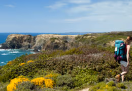 An Active Discovery of Portugal