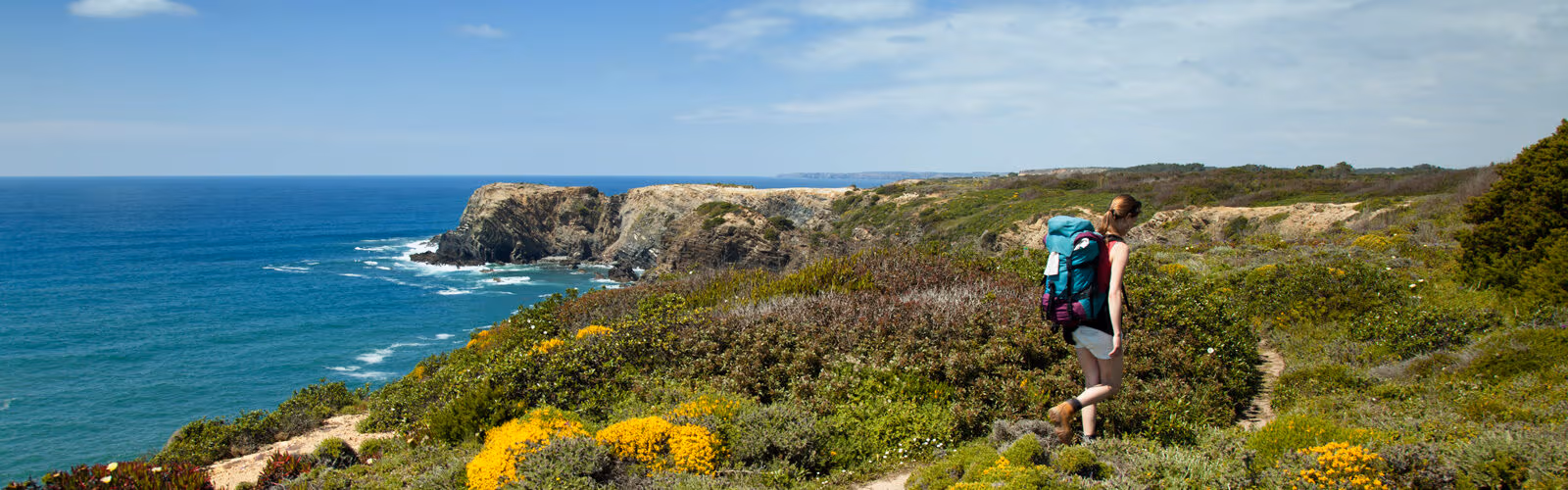 An Active Discovery of Portugal