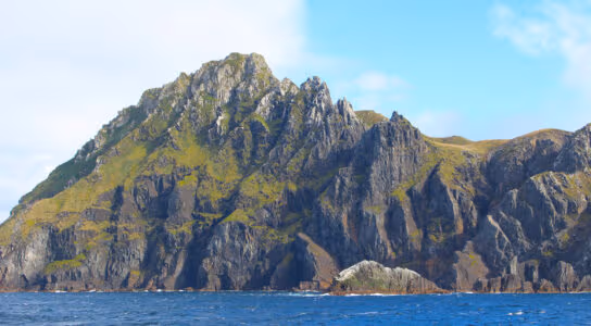 Cruise past glaciers and penguins to Cape Horn preview image