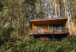 One&Only Gorilla’s Nest