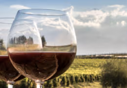 Luxury Argentina and Chile Gourmet Tour