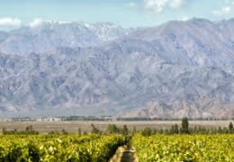 The Best of Brazil, Argentina and Chile