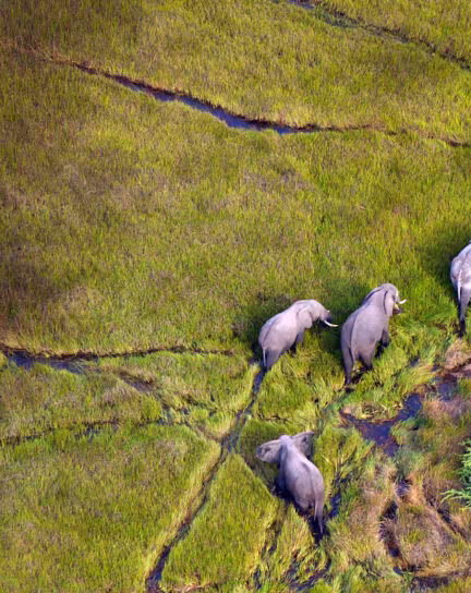 7 Best Places to Visit in Botswana