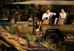 Luxury Botswana & Victoria Falls