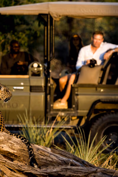Luxury Botswana & Victoria Falls