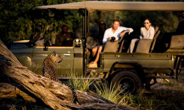 Luxury Botswana & Victoria Falls