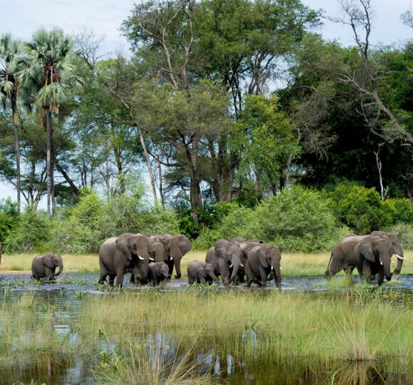 Botswana