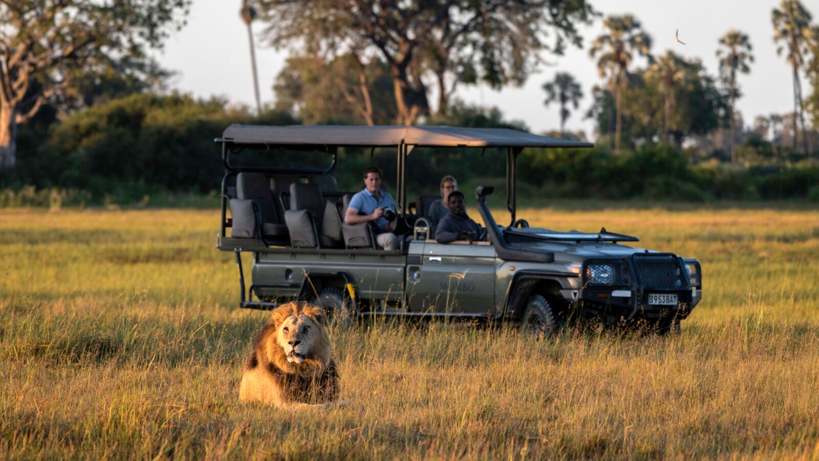 Game viewing on safari at Mombo