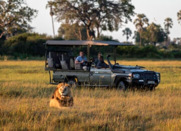 Mombo Concession - Okavango thumbnail