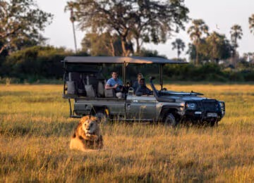Mombo Concession - Okavango thumbnail