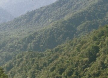 Sarapiquí thumbnail