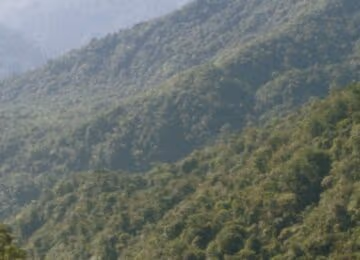 Sarapiquí thumbnail