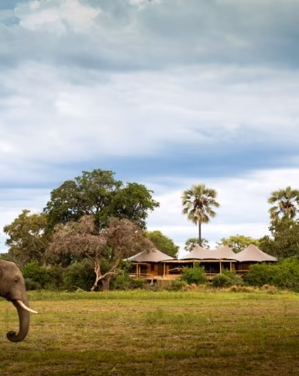 Where to Stay in Botswana