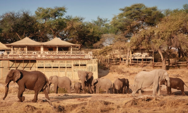 Savute Elephant Lodge