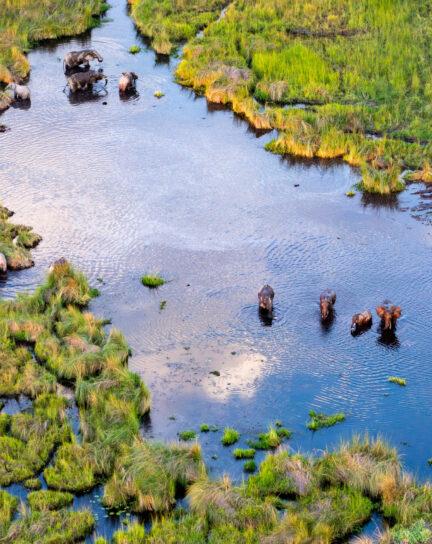 First-Time Safari Guide: Everything You Need to Know