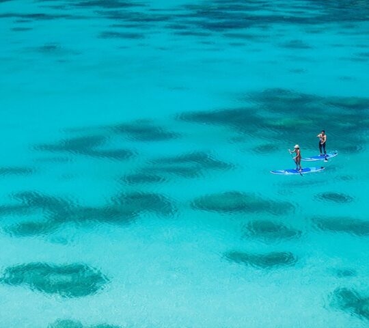 Stand up paddle boarders on the water over a clear reef in Australia