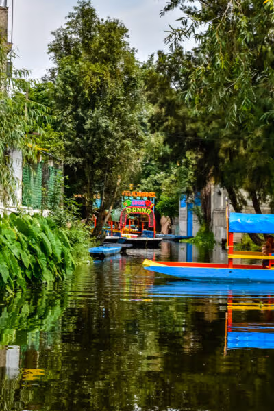 Family Adventure in Mexico