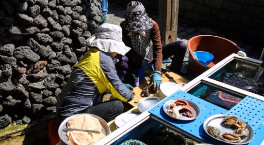 Eat seafood caught by the Haenyeo women preview image