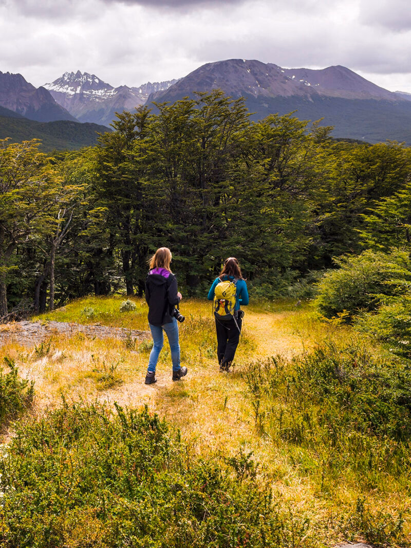 Two hikers walking away from the camera through a grassy meadow toward a forest and mountains. Luxury Argentina vacations.