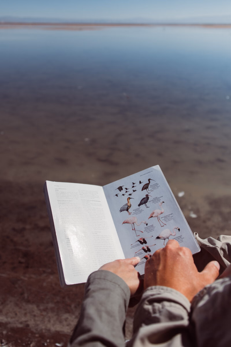 Hands holding an open bird guidebook over a calm body of water during luxury Chile vacations.